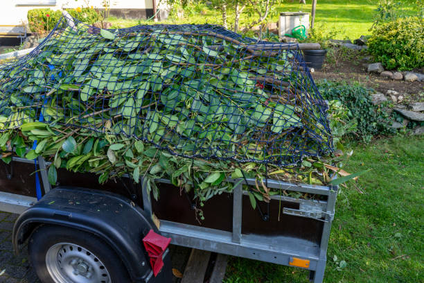 Best Hoarding Cleanup  in Holdrege, NE